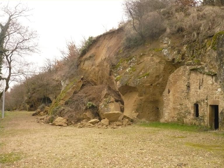 troglodytes139.jpg